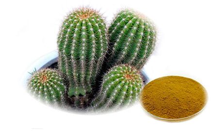 Hoodia gordoni Reduslim құрамына кіреді