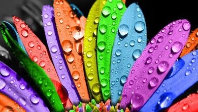 6 жапырақшалар диетасынан қалай арықтауға болады